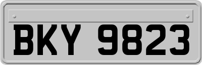 BKY9823
