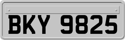 BKY9825