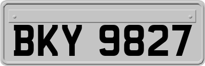 BKY9827