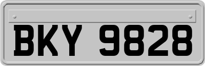 BKY9828