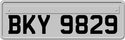 BKY9829