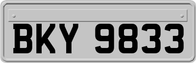 BKY9833