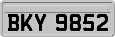 BKY9852