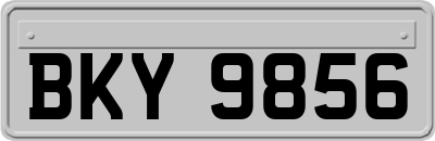 BKY9856