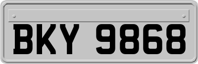 BKY9868