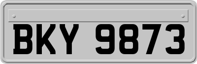 BKY9873