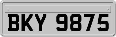 BKY9875