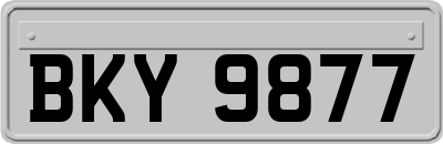 BKY9877
