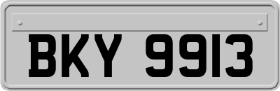 BKY9913
