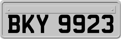 BKY9923