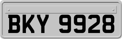 BKY9928