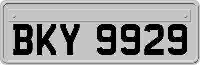 BKY9929