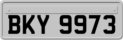 BKY9973