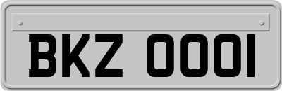 BKZ0001