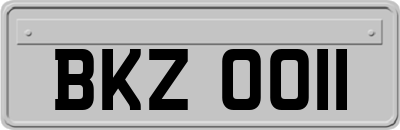 BKZ0011