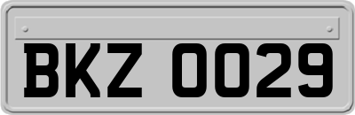 BKZ0029