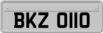 BKZ0110