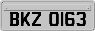 BKZ0163
