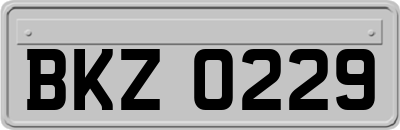 BKZ0229