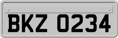 BKZ0234
