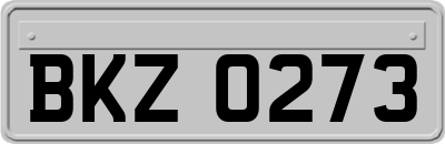 BKZ0273