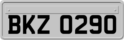 BKZ0290