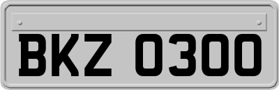 BKZ0300