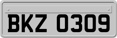 BKZ0309