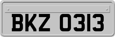 BKZ0313