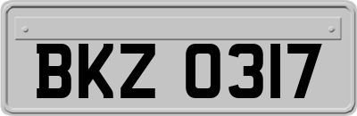 BKZ0317