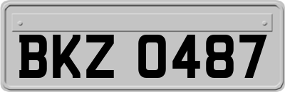 BKZ0487