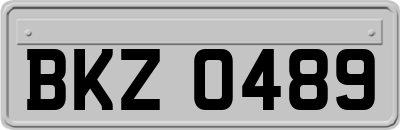 BKZ0489