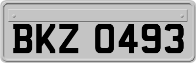 BKZ0493