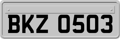 BKZ0503