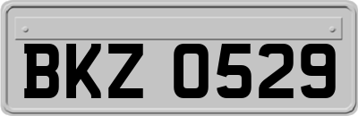 BKZ0529