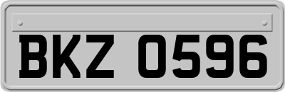 BKZ0596