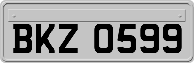 BKZ0599