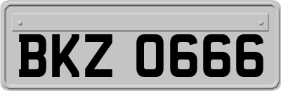 BKZ0666