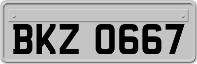 BKZ0667