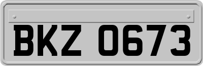 BKZ0673