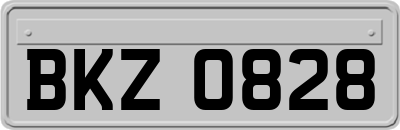 BKZ0828