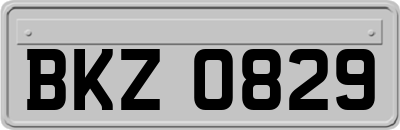 BKZ0829