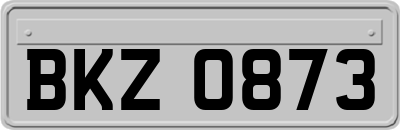 BKZ0873