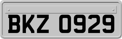 BKZ0929