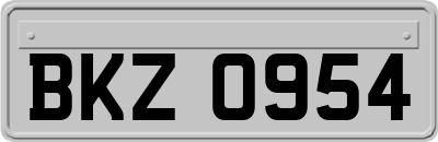 BKZ0954