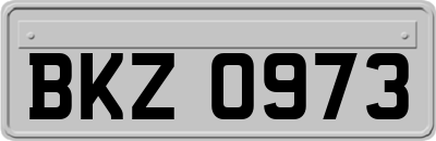 BKZ0973