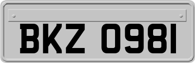BKZ0981