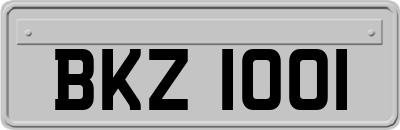 BKZ1001