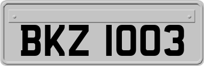 BKZ1003