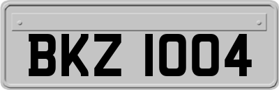 BKZ1004